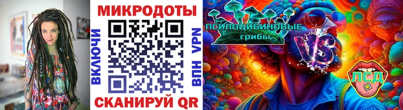 Псилоцибиновые грибы Psilocybe  Купить  Никольское 